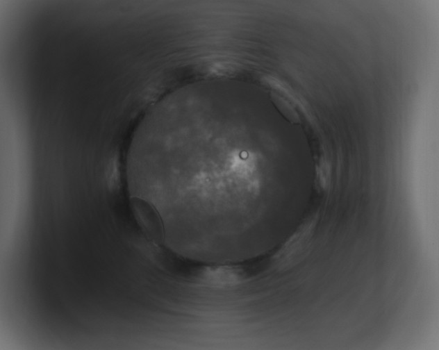 X0000100940520200806241430