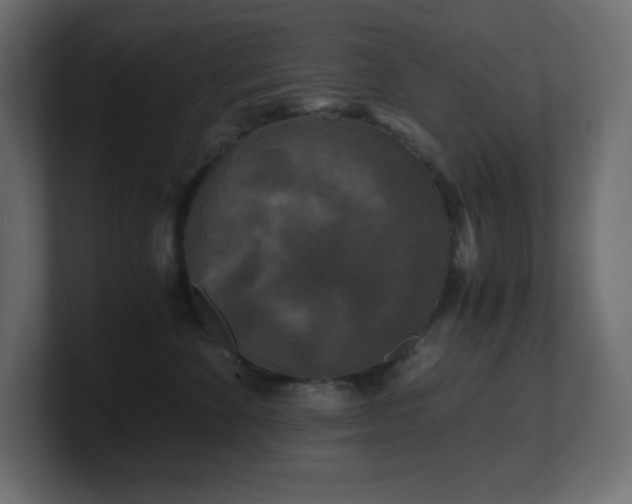 X0000100940524200806241430