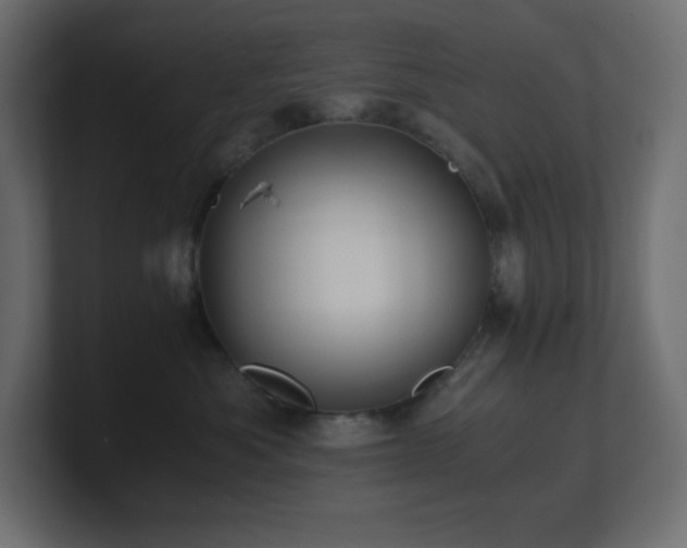 X0000100940525200806241430