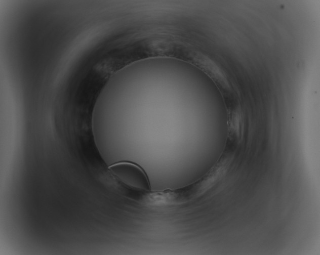 X0000100940526200806241430