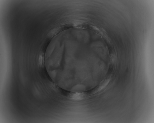 X0000100940527200806241430