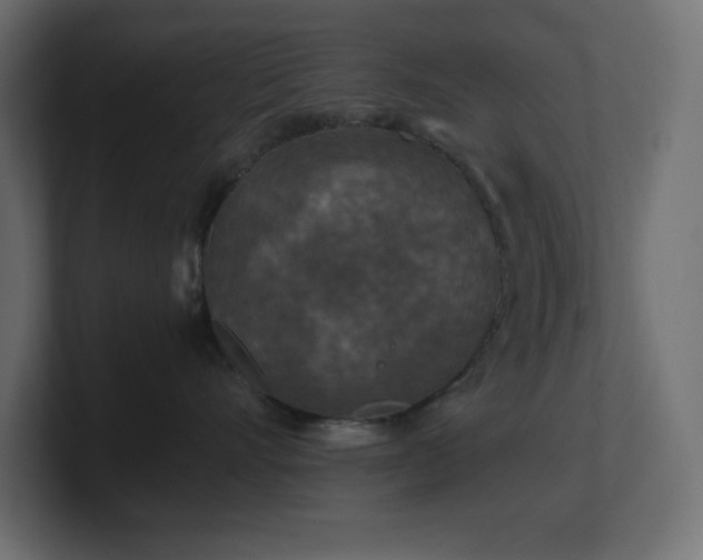X0000100940528200806241430