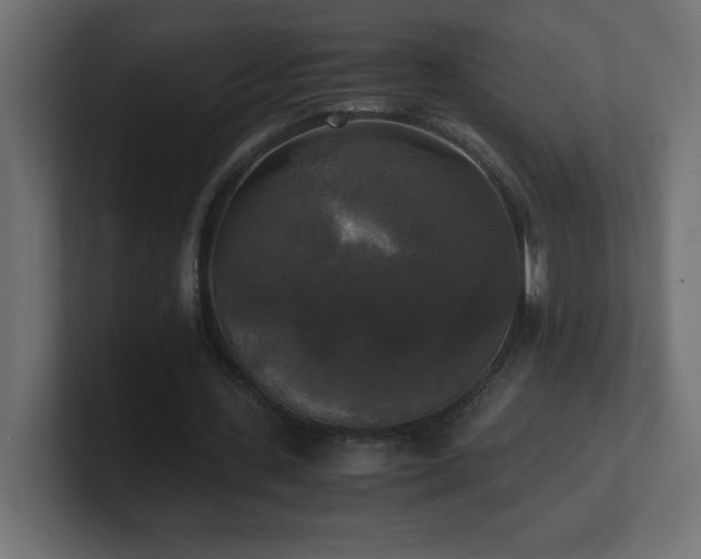 X0000100940531200806241429