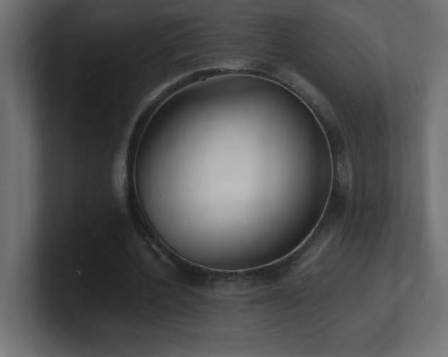 X0000100940532200806241429