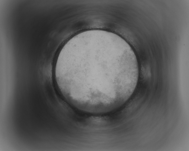 X0000100940534200806241429