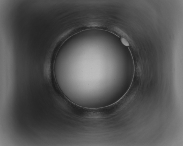 X0000100940535200806241429