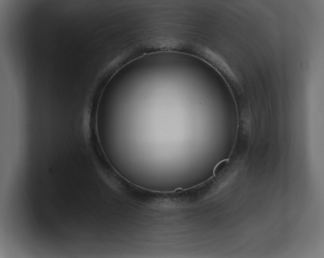 X0000100940538200806241429