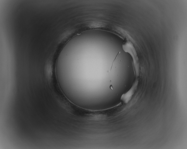 X0000100940539200806241429