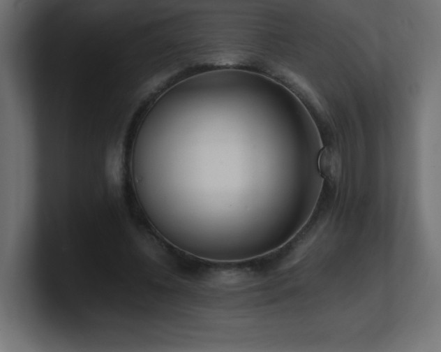 X0000100940540200806241429