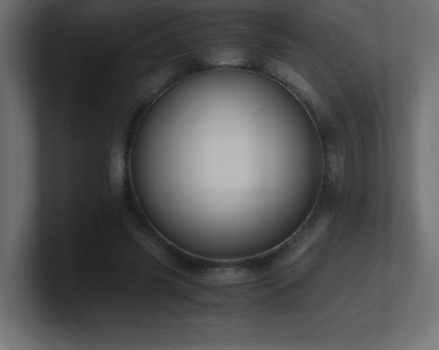 X0000100940541200806241429