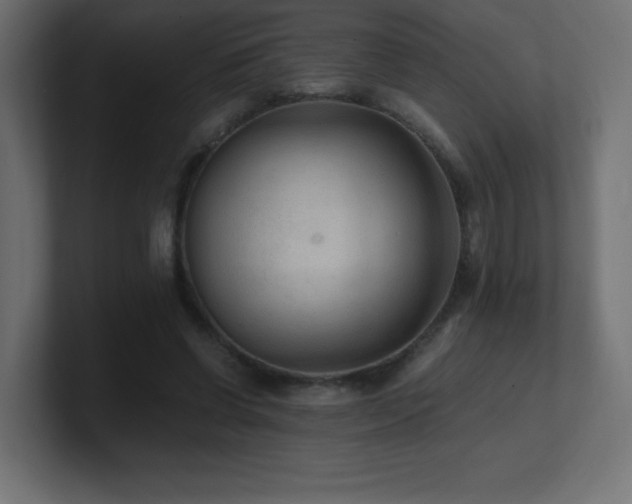 X0000100940542200806241429
