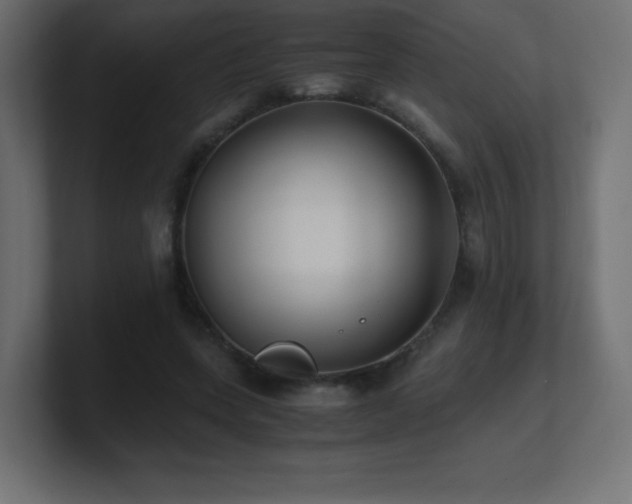 X0000100940543200806241429