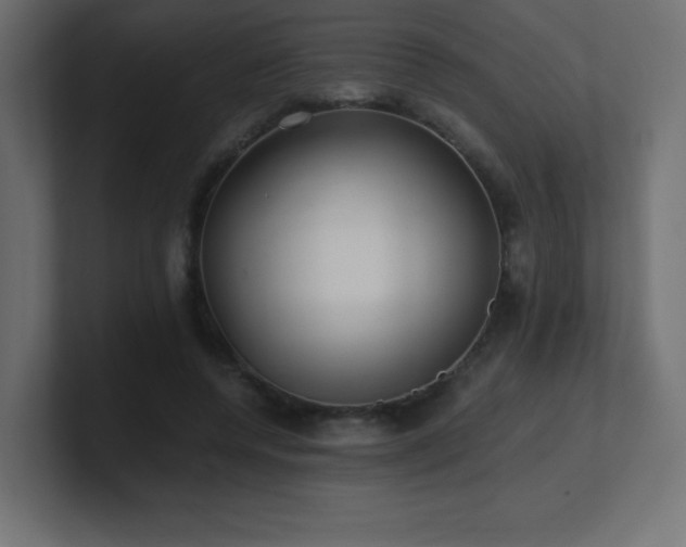 X0000100940544200806241429