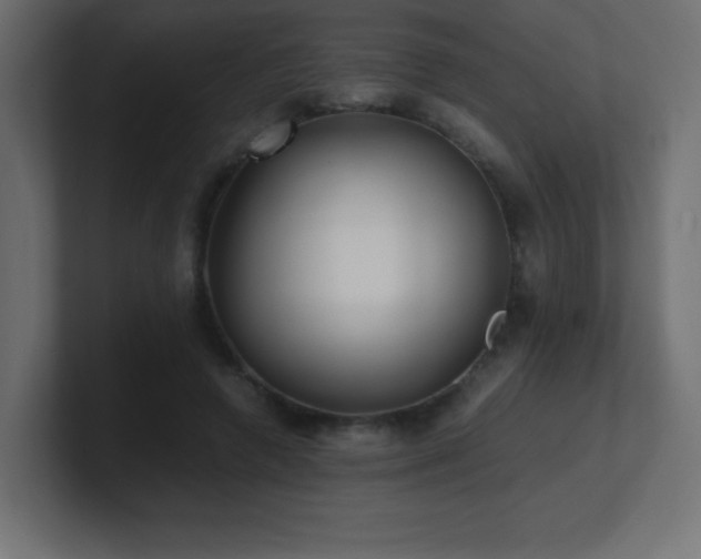X0000100940546200806241429