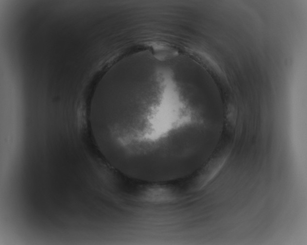 X0000100940547200806241429