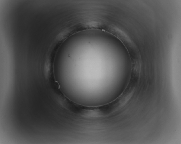 X0000100940548200806241429