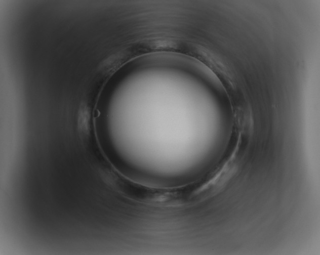 X0000100940550200806241430