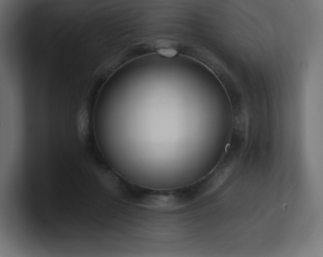X0000100940552200806241430