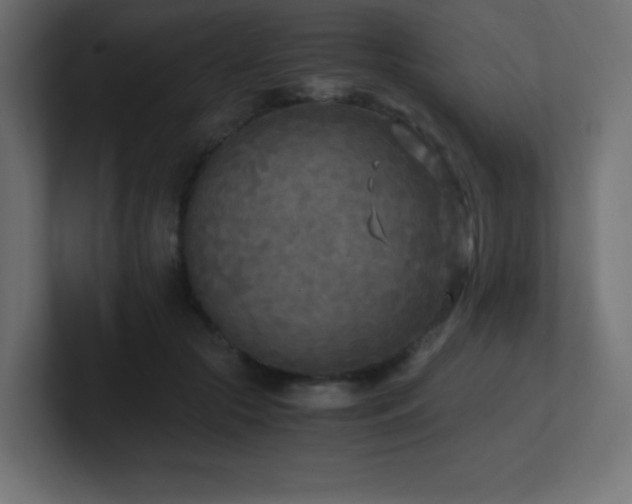 X0000100940553200806241430