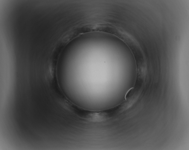 X0000100940558200806241430
