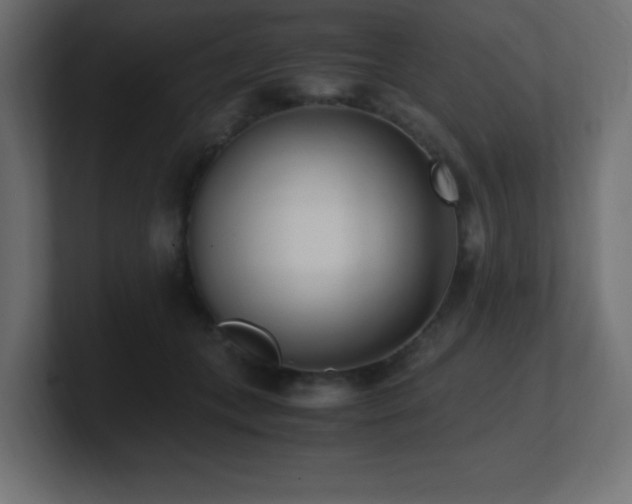X0000100940559200806241430