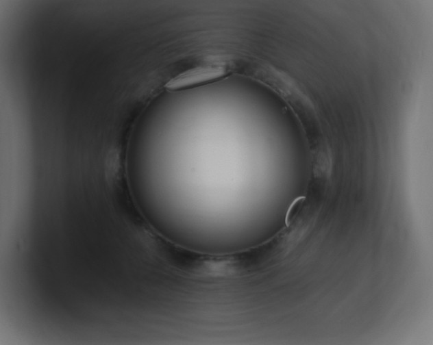 X0000100940560200806241430