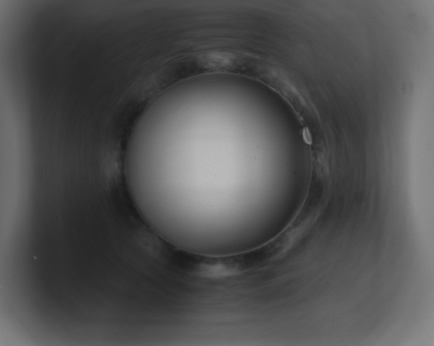 X0000100940561200806241430