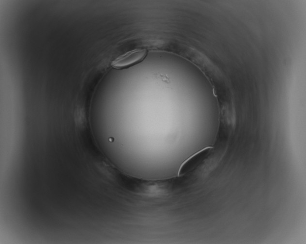 X0000100940564200806241430