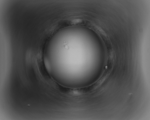 X0000100940565200806241430
