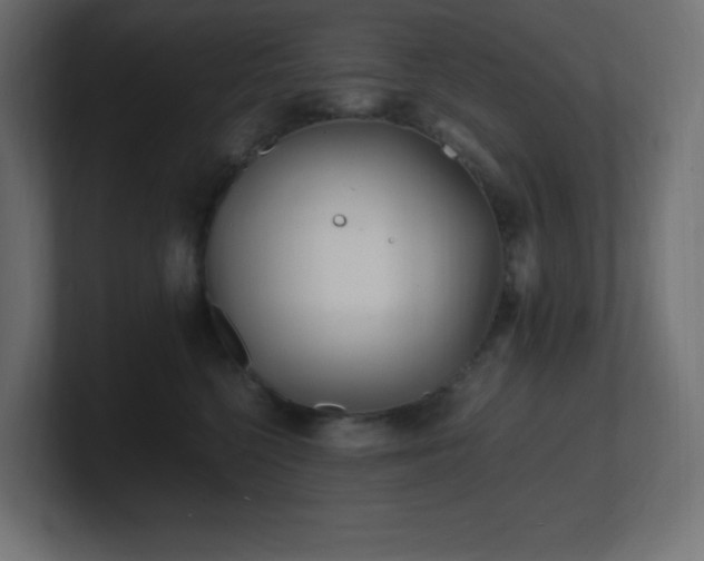 X0000100940568200806241430