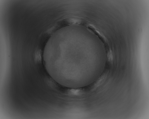 X0000100940570200806241430
