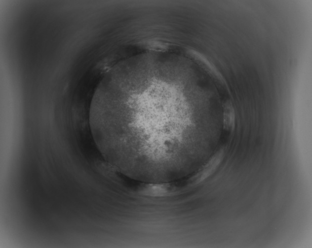 X0000100940573200806241430