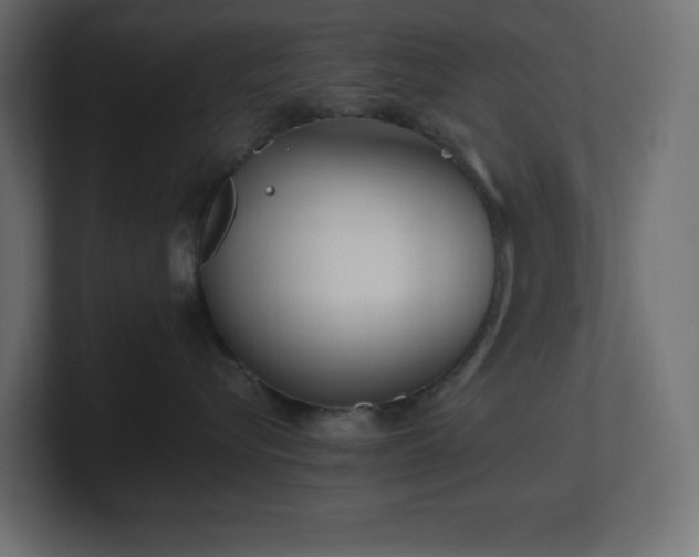 X0000100940576200806241430