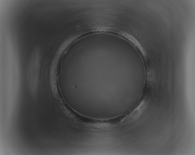 X0000100940577200806241429