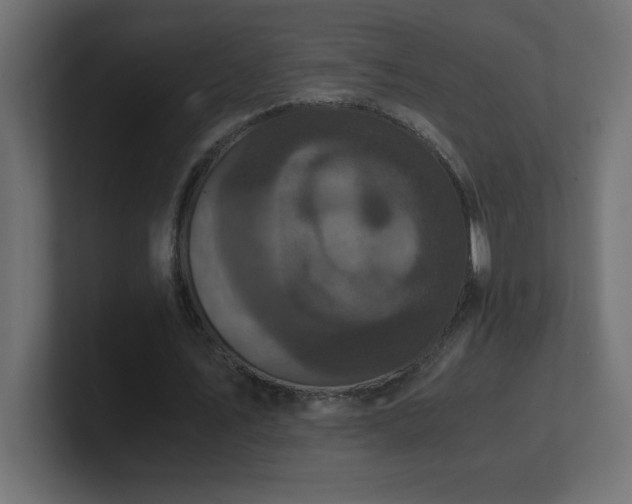 X0000100940579200806241429