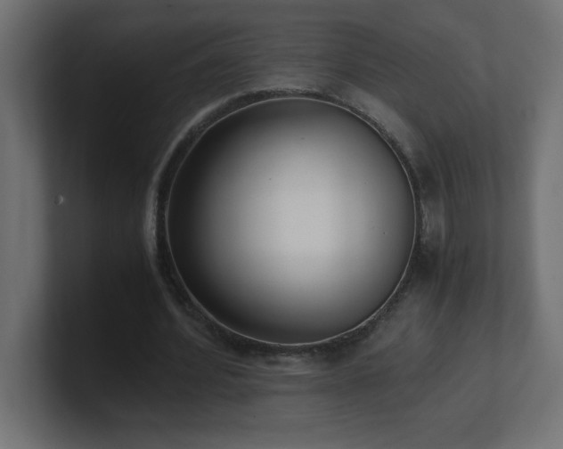 X0000100940580200806241429