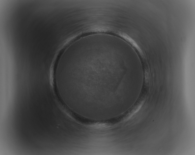 X0000100940581200806241429