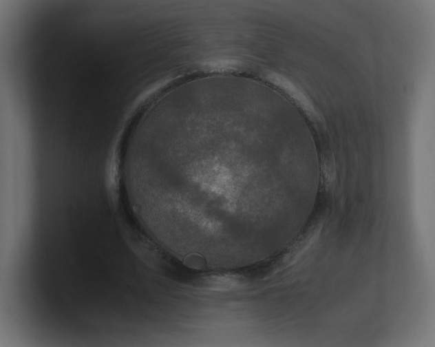 X0000100940583200806241429