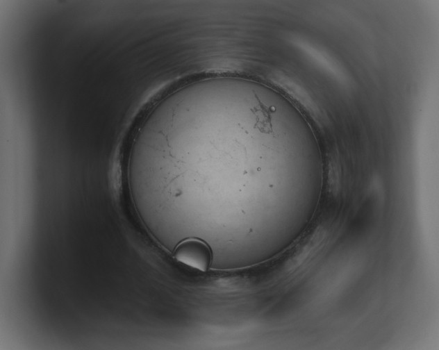 X0000100940584200806241429