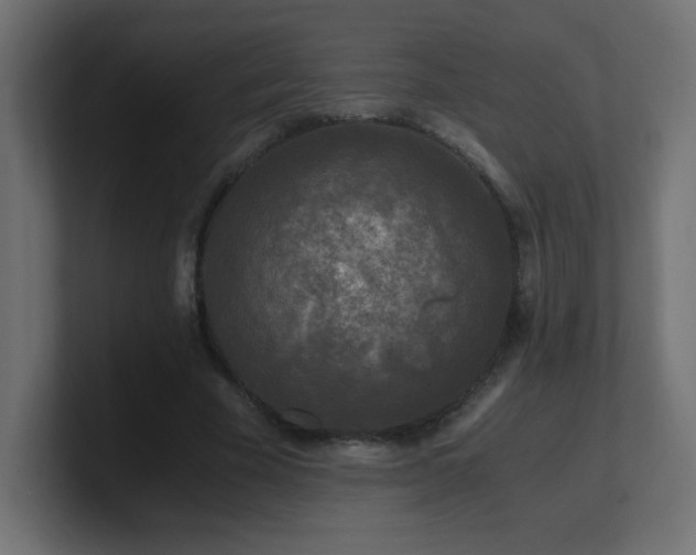 X0000100940585200806241429