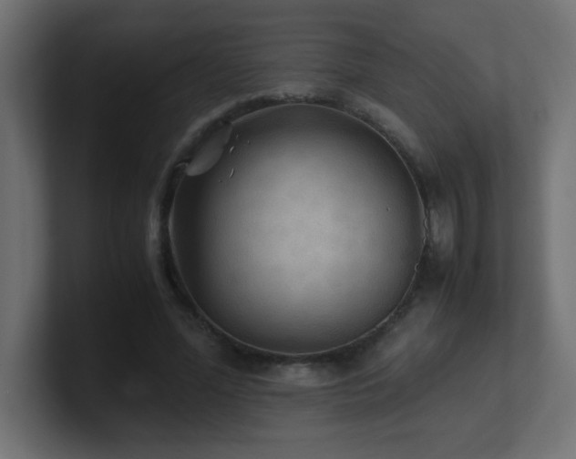 X0000100940588200806241429