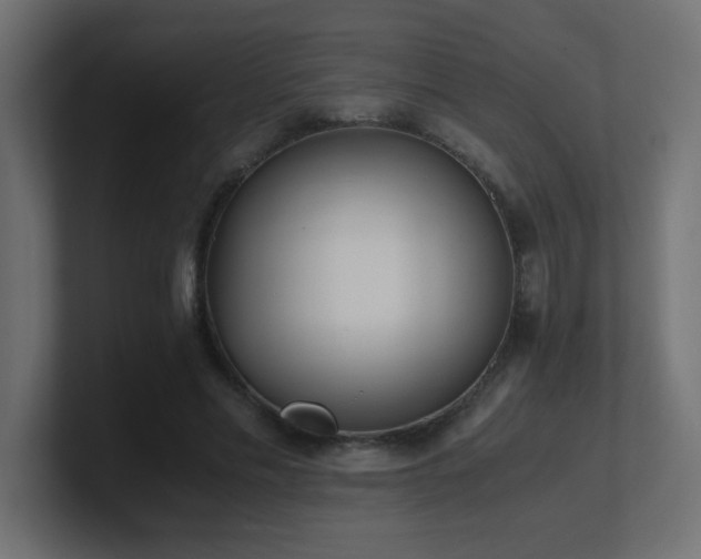 X0000100940589200806241429