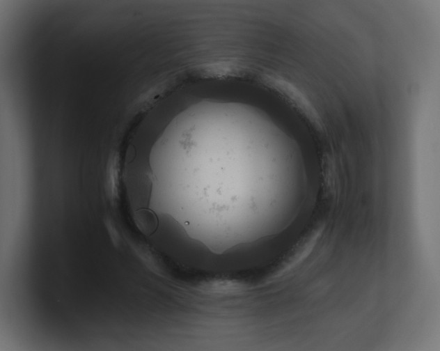 X0000100940590200806241429