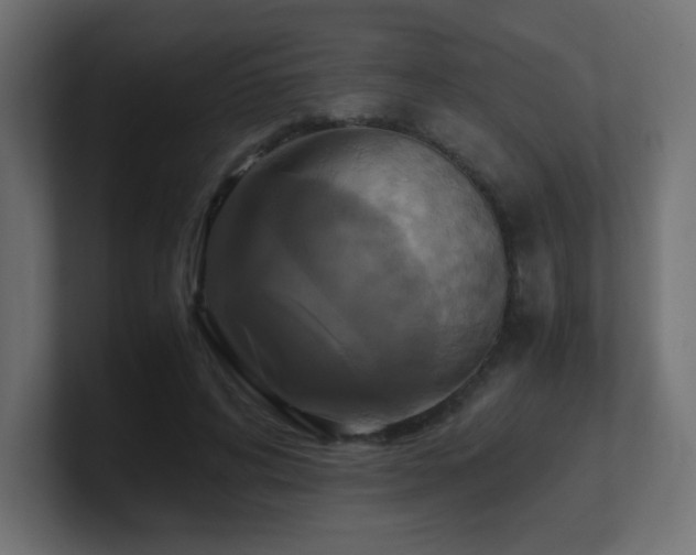 X0000100940592200806241429