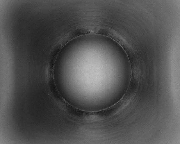 X0000100940594200806241429