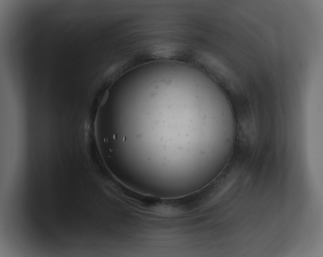 X0000100940596200806241429