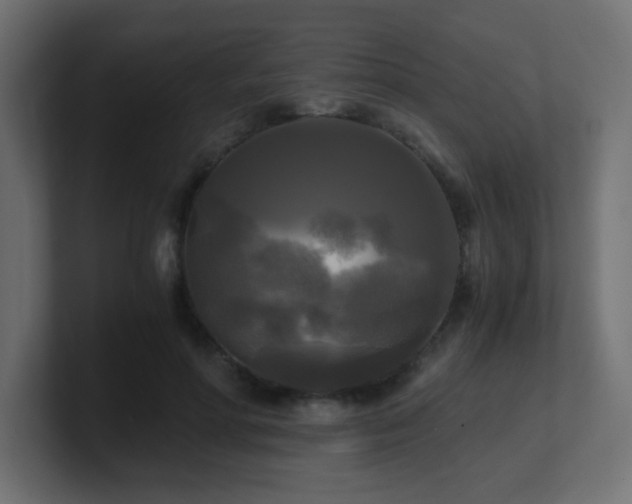 X0000100940598200806241429