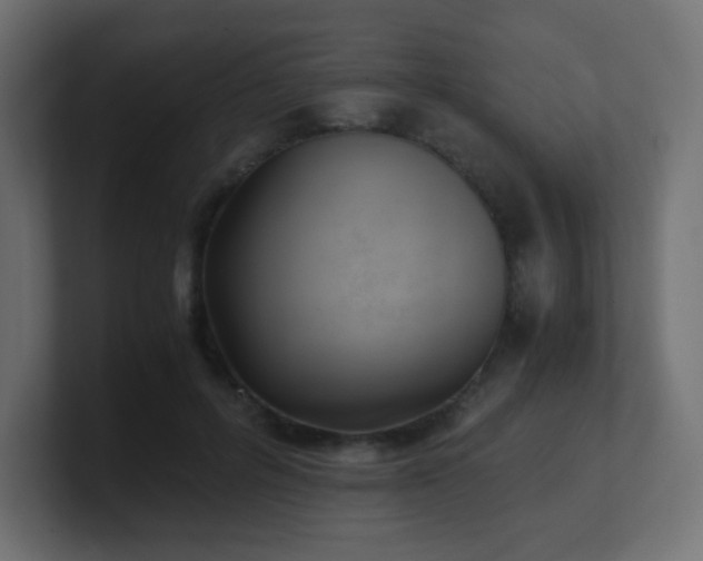 X0000100940600200806241429