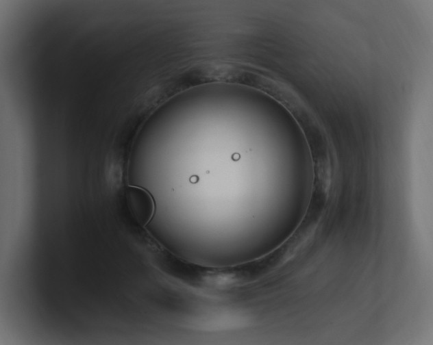 X0000100940602200806241429