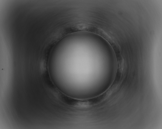 X0000100940606200806241429